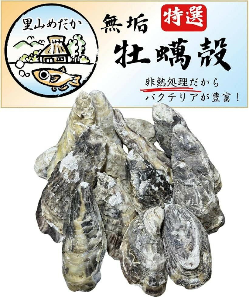 国産特選 牡蠣殻 非加熱 アクアリウム メダカ 金魚 熱帯魚 海水魚 水質安定 水質浄化 PH調整 脱臭 酸性防止 (15枚)