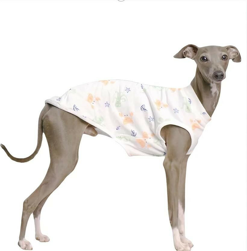 バリエーションコード : 2buytrs19y商品コード2bu5h980c1商品名イタグレ服 春夏用 小型犬 中型犬 コットン ソフトタンクトップブランドmanatomカラーホワイトサイズ等L「快適な着心地」このイタリアングレーハウンド用のタンクトップは、軽量で通気性のあるコットン素材を使用しており、暑い夏の日でも快適に過ごせます。愛犬がストレスを感じることなく、自由に動き回ることができるデザインです。このタンクトップは、活動的なグレイハウンドやウィペットに最適です。丸いネックラインとノースリーブのデザインが快適さと通気性を提供し、スタイリッシュな色であなたの犬をクールに見せます。夏にあなたの愛犬を快適でスタイリッシュに保つために必需品です。「熱中症対策」特に暑い季節には、愛犬の健康を守るための必須アイテムです。「簡単なお手入れ」洗濯機で簡単に洗えるため、いつでも清潔に保つことができます。忙しい飼い主さんにもぴったりの、手間いらずのメンテナンスが可能です。素材とお手入れ　ファブリック： 綿100% 洗濯アドバイス: 冷水通常洗浄 衣服を絞らないでください 塩素洗浄はできません 同系色のものと一緒に洗ってください※ 他ネットショップでも併売しているため、ご注文後に在庫切れとなる場合があります。予めご了承ください。※ 品薄または希少等の理由により、参考価格よりも高い価格で販売されている場合があります。ご注文の際には必ず販売価格をご確認ください。※ 沖縄県、離島または一部地域の場合、別途送料の負担をお願いする場合があります。予めご了承ください。※ お使いのモニタにより写真の色が実際の商品の色と異なる場合や、イメージに差異が生じることがあります。予めご了承ください。※ 商品の詳細（カラー・数量・サイズ 等）については、ページ内の商品説明をご確認のうえ、ご注文ください。※ モバイル版・スマホ版ページでは、お使いの端末によっては一部の情報が表示されないことがあります。すべての記載情報をご確認するには、PC版ページをご覧ください。