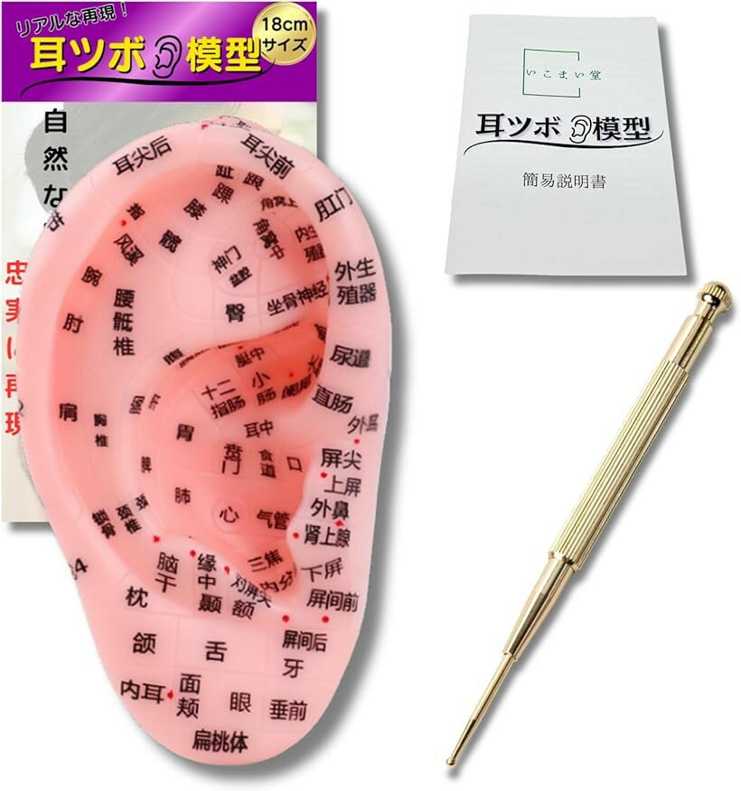 耳 模型 耳ツボ 耳つぼジュエリー 3点セット スティック 耳つぼシール 耳ツボシール セルフケア (ナチュラルスキン, 18cm)