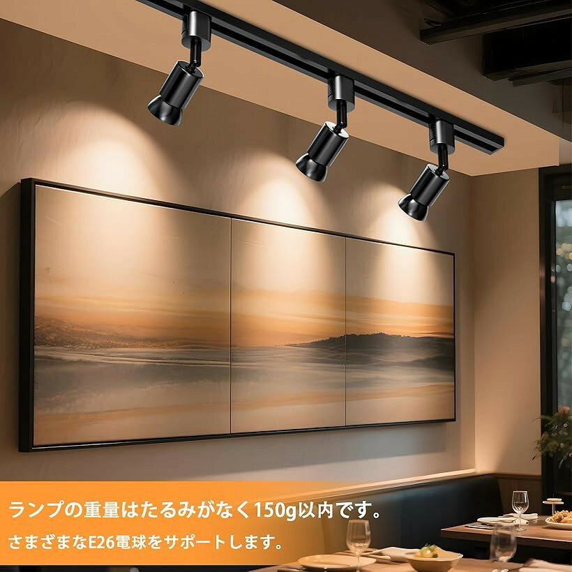 ダクトレールライト ダクトレール用スポットライト 配線ダクトレール用器具 E26 (黒い E26口金 12個) [2]