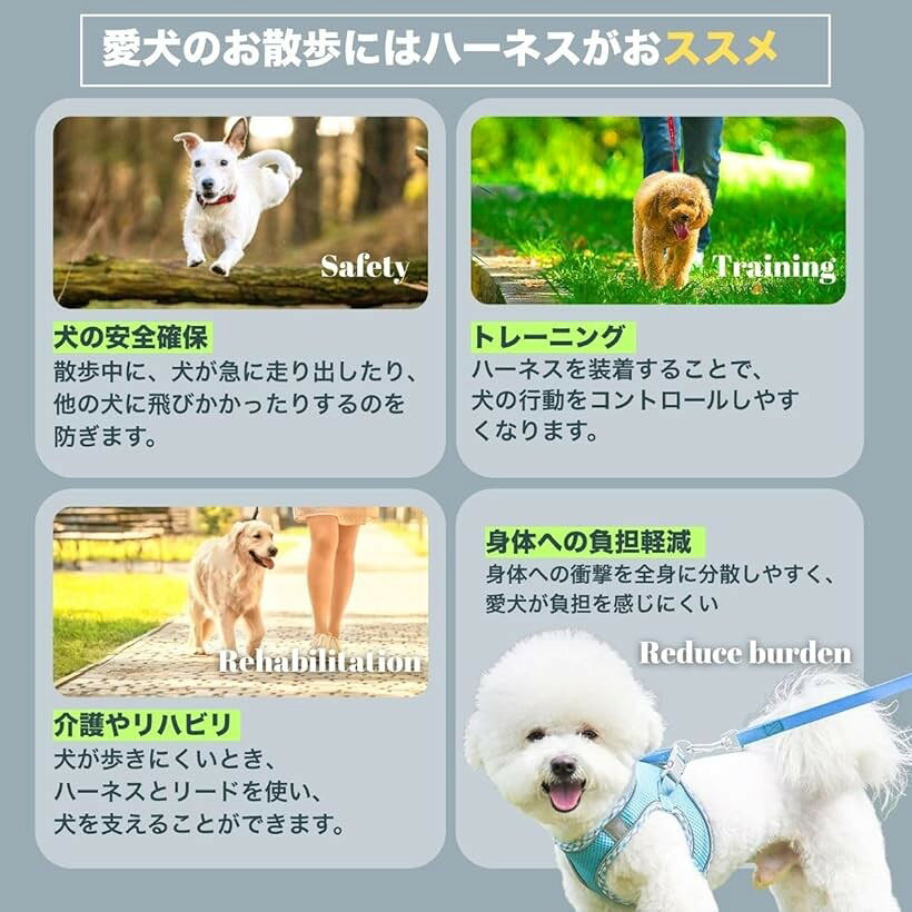 犬 ハーネス リードセット 小型犬 中型犬 猫用 通気メッシュ 抜けない 軽量 着脱簡...