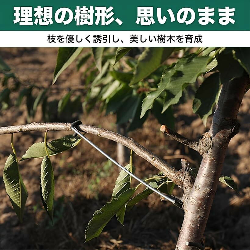 エムラインストアの枝曲げクリップ 支柱 金具 花 果物 工具 滑り止め 10個セット (26cm)｜アングル3