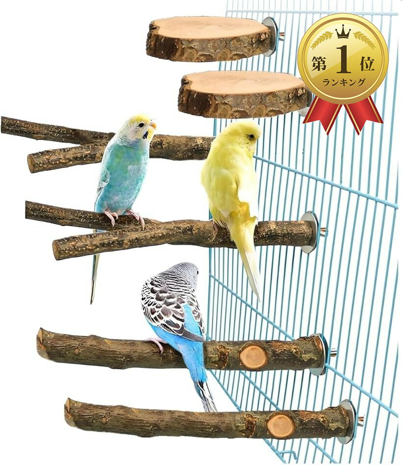 【楽天ランキング1位入賞】鳥 止まり木 止まり台 パーチ 自然木 インコ オウム 爪...