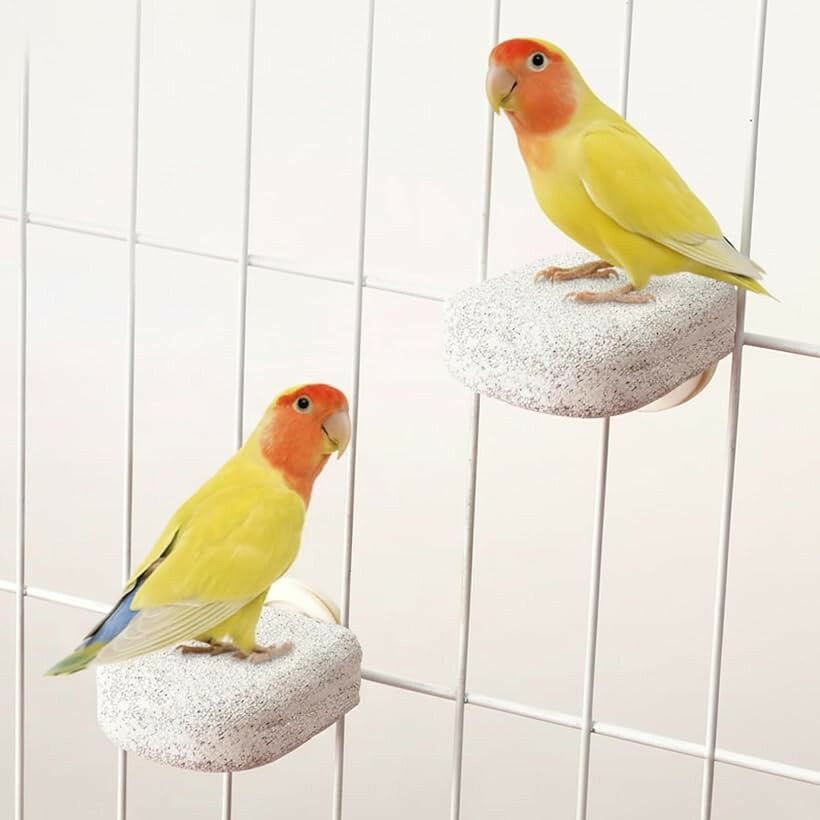 鳥 爪研ぎ 止まり木 ハムスター モモンガ チンチラ インコ テグー 小動物 ステップ パーチ 足場 (グレー, Mサイズ2個)