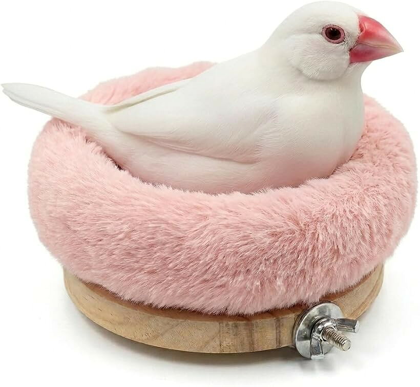 バリエーションコード : 2bk56pndkt商品コード2bk54jidnd商品名鳥の巣 鳥かご セキセイインコ 文鳥 小鳥 とまり木 おもちゃブランドTiDaOneカラーピンク「小鳥が安心してくつろげる、ふわふわ休憩スペース」やわらかな起毛クッションが小鳥の体をやさしく包み込み、リラックスできるお気に入りの休憩場所に。文鳥やセキセイインコなどの小型鳥にぴったりの止まり台です。「思わず長居したくなる、やさしい肌ざわり」 ふんわりとしたクッション素材を採用。足元への負担を抑えながら快適な居心地をサポートし、くつろぎタイムやお昼寝スペースとして活躍します。「工具不要でかんたん取り付け」 付属の固定金具でケージにしっかり設置可能。手で回して固定するだけの簡単取り付けで、初めての方でも手軽に設置できます。「ケージの中に、特別なくつろぎ空間を」 止まり台とクッションを組み合わせた設計で、毎日の休憩場所として快適に使用できます。ケージ内に落ち着ける居場所を作りたい方におすすめです。「製品仕様」サイズ：約直径13cm／重量：約80g／素材：ポリエステル、木材、金属／セット内容：クッション、木製台座／対応鳥種：文鳥、セキセイインコ、コザクラインコなどの小型鳥／カラー：グレー、ピンク、ブラウン、パープル※ 他ネットショップでも併売しているため、ご注文後に在庫切れとなる場合があります。予めご了承ください。※ 品薄または希少等の理由により、参考価格よりも高い価格で販売されている場合があります。ご注文の際には必ず販売価格をご確認ください。※ 沖縄県、離島または一部地域の場合、別途送料の負担をお願いする場合があります。予めご了承ください。※ お使いのモニタにより写真の色が実際の商品の色と異なる場合や、イメージに差異が生じることがあります。予めご了承ください。※ 商品の詳細（カラー・数量・サイズ 等）については、ページ内の商品説明をご確認のうえ、ご注文ください。※ モバイル版・スマホ版ページでは、お使いの端末によっては一部の情報が表示されないことがあります。すべての記載情報をご確認するには、PC版ページをご覧ください。