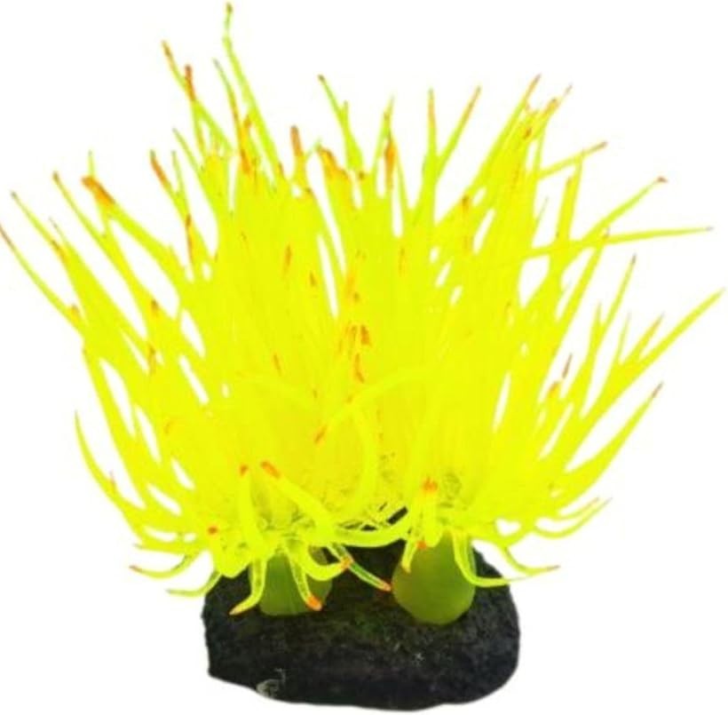 バリエーションコード : 2brk00u8n1商品コード2brk0qk3j9商品名人工 ソフト サンゴ 小魚 憩い場 安定 スタンド 付 水槽 水草 イソギンチャクブランドASPALANDカラーイエローサイズ等Free人工 ソフト サンゴ 小魚 憩い場 安定 スタンド 付 水槽 水草 イソギンチャク「仕様」サイズ タテ：10cm / ヨコ：5cm スタンド高：約2cm / 重さ:60g 《素材》シリコン「小魚の憩い場」小魚たちが集いリラックスできる環境をサポートします「水槽インテリア」映える水槽内装飾を整えるアイテムとしていかがでしょう「フェイクサンゴ」珊瑚に見立て クマノミ 熱帯魚 たちが泳ぎ回ります「スタンド 付き」水槽内で固定できるようスタンドがついています「お手入れ簡単」汚れ・水垢は水洗いで簡単に落とせます細かい仕様 ・パッケージ は メーカーの都合で予告なく変更する場合があります インターネット環境により、画像の色具合が異なって見える場合がございます※ 他ネットショップでも併売しているため、ご注文後に在庫切れとなる場合があります。予めご了承ください。※ 品薄または希少等の理由により、参考価格よりも高い価格で販売されている場合があります。ご注文の際には必ず販売価格をご確認ください。※ 沖縄県、離島または一部地域の場合、別途送料の負担をお願いする場合があります。予めご了承ください。※ お使いのモニタにより写真の色が実際の商品の色と異なる場合や、イメージに差異が生じることがあります。予めご了承ください。※ 商品の詳細（カラー・数量・サイズ 等）については、ページ内の商品説明をご確認のうえ、ご注文ください。※ モバイル版・スマホ版ページでは、お使いの端末によっては一部の情報が表示されないことがあります。すべての記載情報をご確認するには、PC版ページをご覧ください。