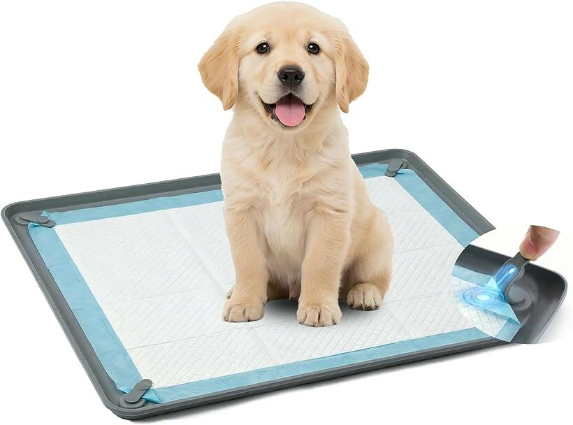 バリエーションコード : 2br0gs45wf商品コード2br0pfstp5商品名犬 トイレトレー トイレマット シリコンマット マグネットで固定 四隅固定 シーツがズレない 滑り止め 漏れ防止 洗える 床汚れ対策 お手入れ簡単 トイレトレーニングブランドSazuikカラーグレーサイズ等XL（65x93cm）「新開発・超強力マグネット固定」四隅に内蔵された高密度マグネットがペットシーツをしっかり吸着。愛犬が引っかいてもズレにくく、ぐちゃぐちゃになるストレスから解放されます。毎日きれいな状態をキープし、飼い主様の手間を大幅に軽減します。「お手入れ簡単」このペットトイレトレーはシリコン製で、とても柔らかく洗いやすいのが特徴です。柔らかく水洗いしやすいため、汚れやニオイもサッと熱湯で流すだけ。高さ1cmのフチがしっかり液体をガードし、床への漏れを防止。忙しい毎日でも清潔を簡単に保てます。素材は、万が一舐めても安全な食品グレードのシリコンのみを使用。デリケートなペットの肌にも優しい、快適な使い心地を提供します。「ズレない・滑らない」シリコンマットの裏面にも滑り止め加工を施し、床の上で動くのを防ぎます。マグネットによるシーツ固定と合わせ、ダブルの安定感を実現したトイレトレーです。飼い主様が毎日位置を直す手間からも解放されます。「ペットフレンドリーな設計」このペットトイレは薄型フラット構造で、関節に不安のあるシニア犬や子犬も使えます。また、柔らかいシリコン素材なので、ワンちゃんが乗った時に硬いプラスチック製トレーのような「カチャカチャ」という音がしません。物音に敏感で臆病なペットでも、怖がることなくてトイレができます。「一枚で様々なシーンで大活躍」トイレ用途はもちろん、その防水性と柔らかさを活かして、お食事マットや車内の汚れ防止シート、トイレトレーニング用としても大活躍。丸めてコンパクトに持ち運べるので、旅行やアウトドアにも最適。※ 他ネットショップでも併売しているため、ご注文後に在庫切れとなる場合があります。予めご了承ください。※ 品薄または希少等の理由により、参考価格よりも高い価格で販売されている場合があります。ご注文の際には必ず販売価格をご確認ください。※ 沖縄県、離島または一部地域の場合、別途送料の負担をお願いする場合があります。予めご了承ください。※ お使いのモニタにより写真の色が実際の商品の色と異なる場合や、イメージに差異が生じることがあります。予めご了承ください。※ 商品の詳細（カラー・数量・サイズ 等）については、ページ内の商品説明をご確認のうえ、ご注文ください。※ モバイル版・スマホ版ページでは、お使いの端末によっては一部の情報が表示されないことがあります。すべての記載情報をご確認するには、PC版ページをご覧ください。
