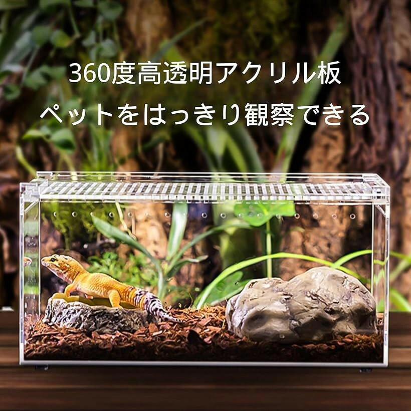 爬虫類ケージ アクリル飼育ケース 小型ペット用ハウス 通気穴付き 観察しやすい 2...