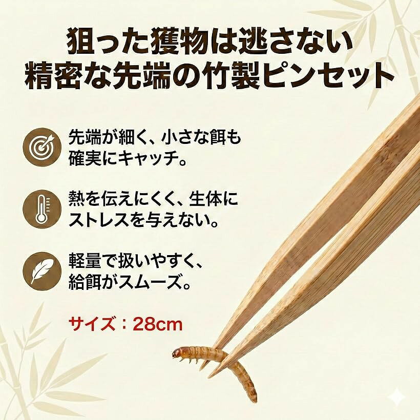 エムラインストアの爬虫類用 飼育 3点セット防逃げエサ皿/竹製ピンセット/デジタル温湿度計レオパ ニシアフ トカゲ 給餌 メンテナンスセット (白)｜アングル3