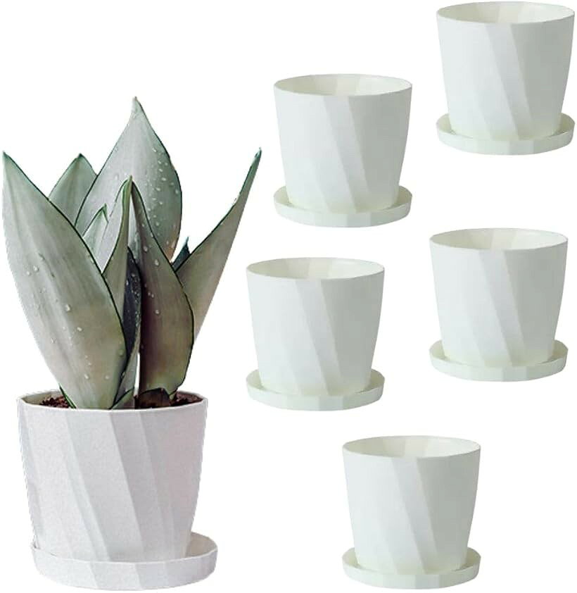 商品コード2bus3k6g1w商品名植木鉢 プラスチック製 受け皿付き 鉢植え 多肉植物 観葉植物 ハーブ サボテン用 プランター 軽量 屋内外対応 通気性 排水性 6個セットブランドEINEYカラーホワイトサイズ等直径15cm「軽量＆丈夫なプラスチック製」上質な樹脂プラスチック素材を採用し、軽量ながら耐久性に優れています。女性でも片手で持ち運べる扱いやすさで、日常のガーデニングに最適です。観葉植物・ハーブ・多肉植物・サボテンなど幅広く対応。土や水の飛び散りも防げます。「通気性＆排水性に優れた底構造」底部には複数の排水穴があり、水はけと通気性を両立。多湿を嫌う植物でも根腐れの心配が少なく、健やかな成長をサポートします。ナチュラルな風合いとストライプのような表面加工が特徴。インテリアとしても映える美しい外観で、植物との調和を楽しめます。「屋内外問わず活躍」ベランダや玄関、リビング、オフィスの窓際など、屋内外の様々な場所で使用可能。落ち着いたデザインでどんな空間にも自然に溶け込みます。「商品詳細」鉢のサイズ：（約）口径15cmx底径11cmx高さ13cm 素材：樹脂プラスチック セット内容：鉢6個＋受け皿6個※ 他ネットショップでも併売しているため、ご注文後に在庫切れとなる場合があります。予めご了承ください。※ 品薄または希少等の理由により、参考価格よりも高い価格で販売されている場合があります。ご注文の際には必ず販売価格をご確認ください。※ 沖縄県、離島または一部地域の場合、別途送料の負担をお願いする場合があります。予めご了承ください。※ お使いのモニタにより写真の色が実際の商品の色と異なる場合や、イメージに差異が生じることがあります。予めご了承ください。※ 商品の詳細（カラー・数量・サイズ 等）については、ページ内の商品説明をご確認のうえ、ご注文ください。※ モバイル版・スマホ版ページでは、お使いの端末によっては一部の情報が表示されないことがあります。すべての記載情報をご確認するには、PC版ページをご覧ください。植物と空間に、やさしい彩りを。EINEYの植木鉢セットは、軽量で丈夫なプラスチック素材を使用し、毎日のガーデニングをもっと身近で快適にしてくれます。底面には複数の排水穴があり、通気性と排水性に優れ、根腐れのリスクを軽減。観葉植物やハーブ、多肉植物、サボテンなど、幅広い植物に対応可能。専用の受け皿付きで、テーブルや床を汚す心配もありません。屋内外問わず使用できるシンプルなデザインは、玄関・ベランダ・リビングなどあらゆるシーンにマッチ。6個セットなので、複数の植物を一度に飾ったり、レイアウトを楽しむこともできます。ガーデニング初心者からインテリア好きまで幅広くご活用いただける、実用性と美しさを兼ね備えたプランターセットです。
