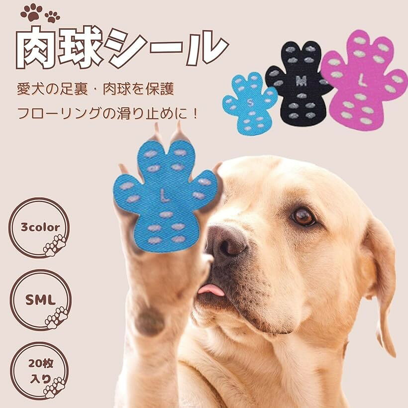 サンプル画像2