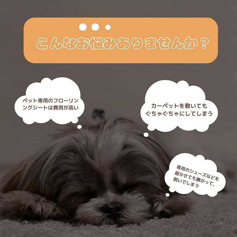 サンプル画像3
