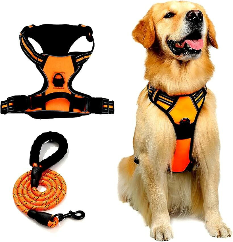 犬ハーネス リード付き 犬用胴輪 簡単装着 サイズ調整可能 通気性メッシュ 夜間反射材 咳き込み防止 しつけ 老犬介護 引っ張り防止 (オレンジ, M)