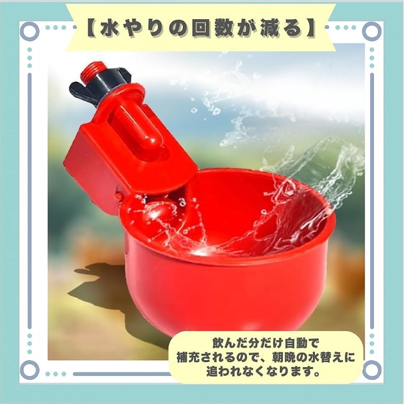 ニワトリ用給水カップ 自動給水 鳥用 エサ入れ 水飲み 6個セット (レッド)