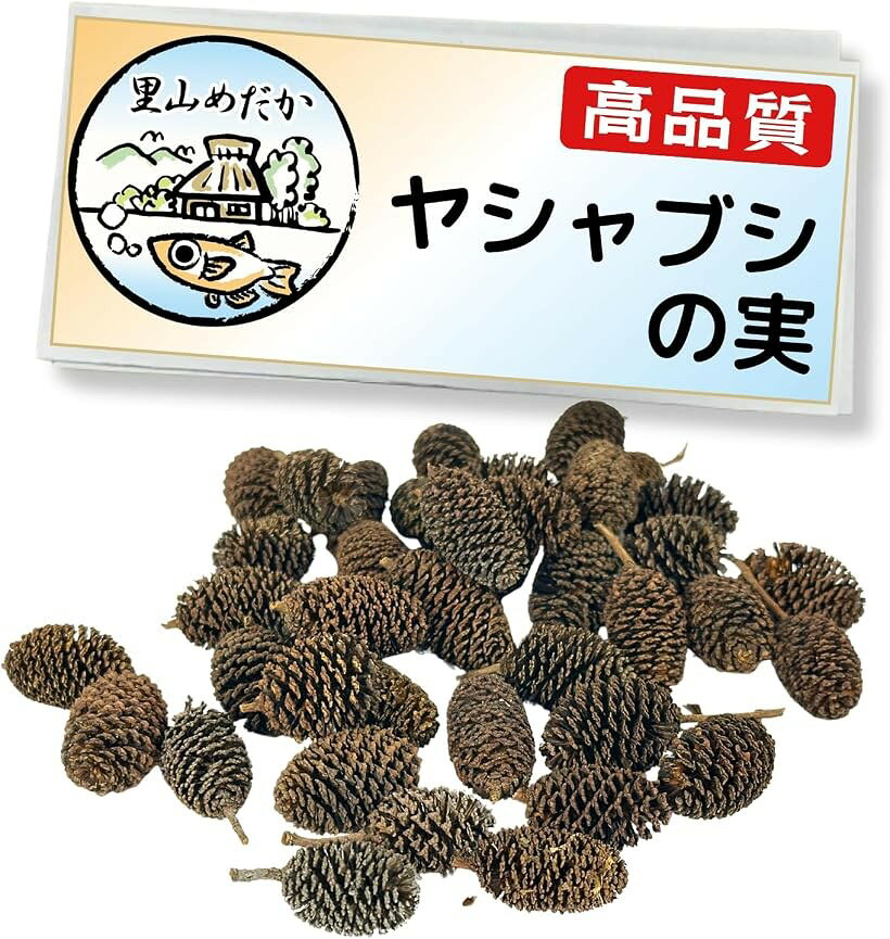 バリエーションコード : 2br4fphtu0商品コード2br4h541g1商品名ヤシャブシの実 20個入り 高濃度フルボ酸漬込み 水質調整 水質安定 色揚げ 産卵促進 ブラックウォーター アクアリウム メダカ・ベタ・ビーシュリンプ用ブランド里山めだかカラー茶色サイズ等20個「高濃度フルボ酸漬込み」: 採取後丁寧に洗浄し、フルボ酸濃縮液にじっくり漬け込み乾燥させているため、フルボ酸による活性向上とタンニンによる作用のダブル効果があります。「水質調整効果」 メダカ、ベタ、ビーシュリンプに最適な弱酸性の水質を作り、生息地のようなブラックウォーターを再現します。有機酸のタンニンがpH・GHを緩やかに降下させます。「色揚げ・産卵促進」 有機酸により美しい体色を発色させ、産卵を誘発します。タンニンの作用でエロモナス菌などの悪玉菌の増殖を抑え、水質環境を安定維持させます。「使用方法」 30cm水槽で2～3個、45cm水槽で3～5個、60cm水槽で5～10個が適量です。水質の急変を避けるため、数日おきに2・3個ずつ投入してください。シュリンプのおやつとしても最適です。「品質について」里山めだかのヤシャブシの実は、採取後丁寧に洗浄し、フルボ酸濃縮液にじっくり漬け込み乾燥させていますので、届いてから直ぐに水槽に投入して頂けます。＊ 効果が下がるため煮沸は行っておりません。※ 他ネットショップでも併売しているため、ご注文後に在庫切れとなる場合があります。予めご了承ください。※ 品薄または希少等の理由により、参考価格よりも高い価格で販売されている場合があります。ご注文の際には必ず販売価格をご確認ください。※ 沖縄県、離島または一部地域の場合、別途送料の負担をお願いする場合があります。予めご了承ください。※ お使いのモニタにより写真の色が実際の商品の色と異なる場合や、イメージに差異が生じることがあります。予めご了承ください。※ 商品の詳細（カラー・数量・サイズ 等）については、ページ内の商品説明をご確認のうえ、ご注文ください。※ モバイル版・スマホ版ページでは、お使いの端末によっては一部の情報が表示されないことがあります。すべての記載情報をご確認するには、PC版ページをご覧ください。