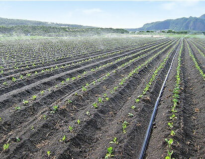 �������Ȼ�ࡡ���ߥ��󥹥�R��Ϫ�ϥ磻�ɡ�100m��2�����åȡ������ࡡ������塼�֡�����ۡ�����Ϫ������