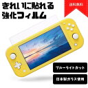 【1000円ポッキリ送料無料】Nintendo Switch lite ブルーライト強化ガラスフィルム 保護フィルム 液晶保護 画面保護 ニンテンドー スイ..