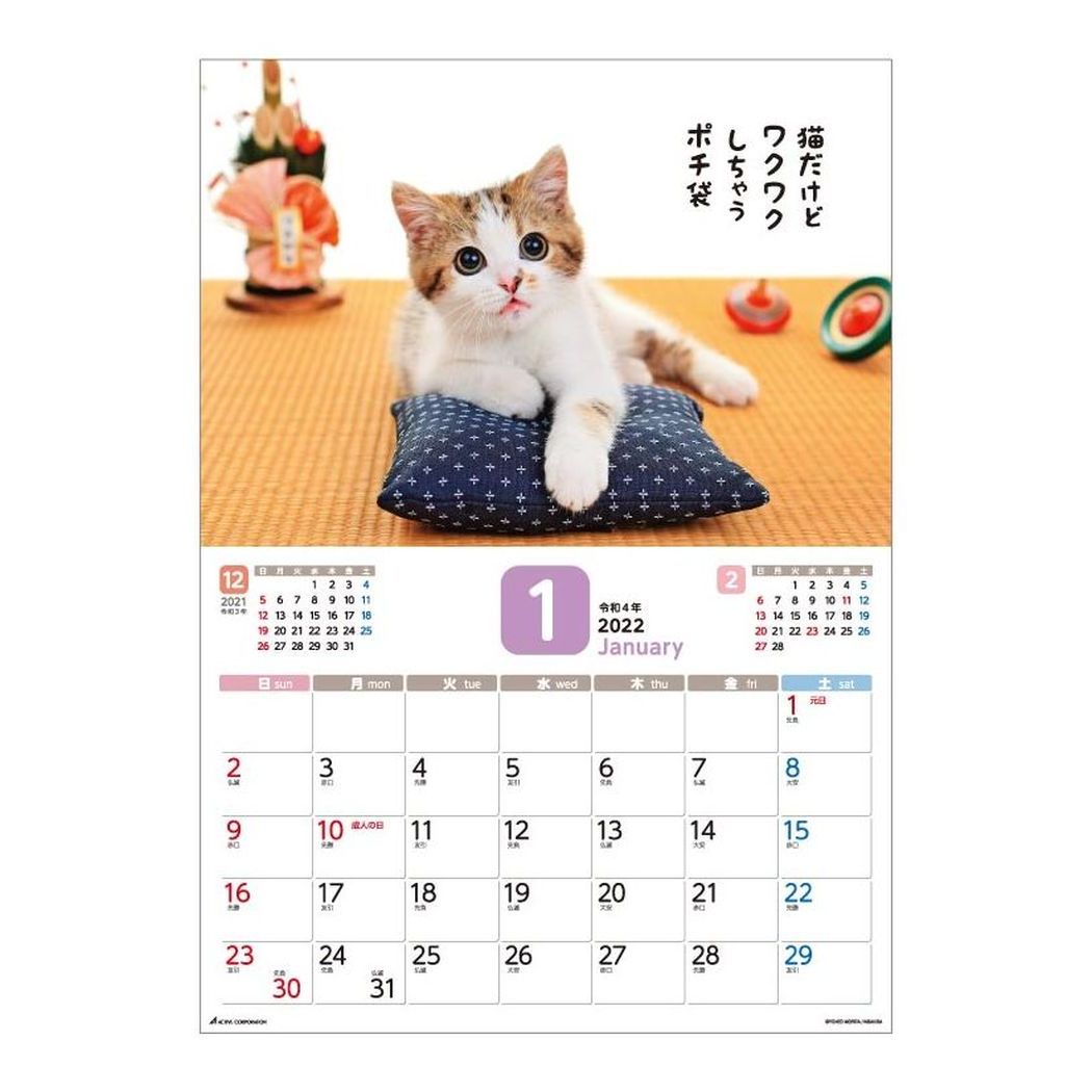 猫カレンダー22 卓上や日めくり 壁掛けなどかわいい人気カレンダーのおすすめプレゼントランキング 予算2 000円以内 Ocruyo オクルヨ