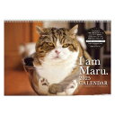 2025Calendar まるちゃん 壁掛けカレンダー2025年 スケジュール ねこ APJ 動物写真 書き込み インテリア 令和7年暦 マシュマロポップ