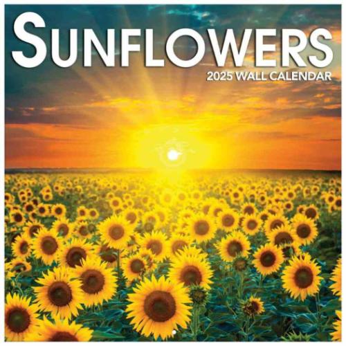 2025 Calendar TURNER 壁掛けカレンダー2025年 Sunflowers 写真 ひまわり インテリア 令和7年暦 マシュマロポップ
