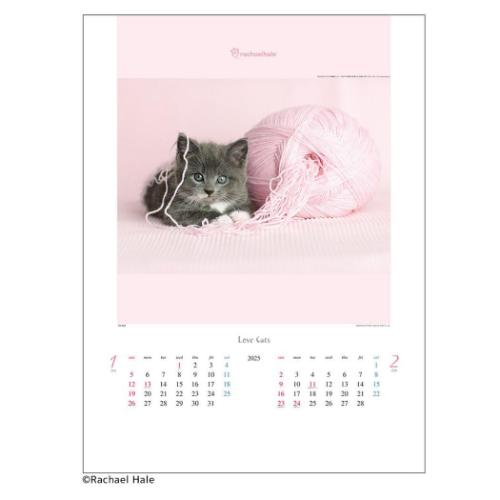 2025 Calendar ラヴ キャット レイチェル ヘイル作品集 壁掛けカレンダー2025年 フォト トーダン 写真 猫 インテリア 令和7年暦 マシュマロポップ 2025 Calendar ラヴ キャット レイチェル ヘイル作品集 壁掛けカレンダー2025年 フォト トーダン 写真 猫 インテリア 令和7年暦 マシュマロポップ