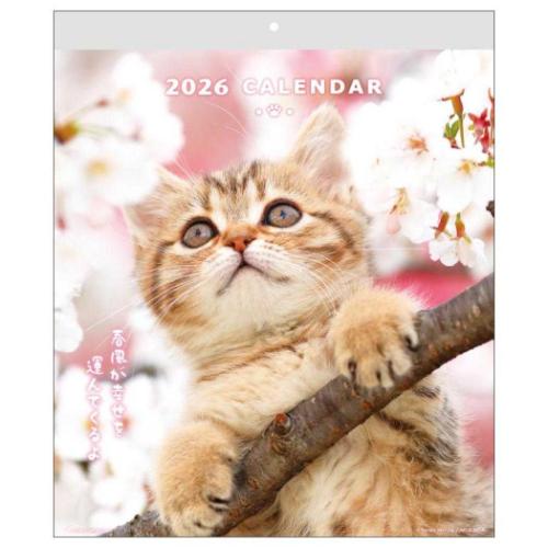 2026 Calendar CATウォールカレンダー 壁掛けカレンダー2026年 スケジュール ねこ アクティブコーポレーション 動物写真 書き込み インテリア 令和8年暦 マシュマロポップ