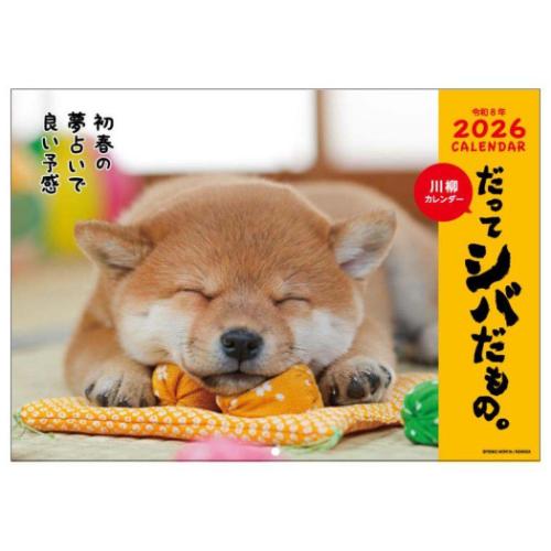2026 Calendar だってシバだもの 壁掛けカレンダー2026年 スケジュール いぬ アクティブコーポレーション 柴犬 写真 インテリア 令和8年暦 マシュマロポップ