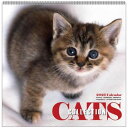 2026Calendar 辰巳出版 Cats Collection 山下寅彦 壁掛けカレンダー2026年 スケジュール ねこ APJ 動物写真 書き込み インテ...