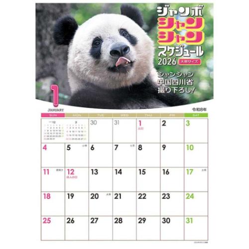 2026 Calendar ジャンボ シャンシャン スケジュール 壁掛けカレンダー2026年 パンダ トライエックス 動..