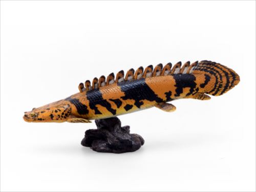 ソフトモデルフィギュア ポリプテリス エンドリケリー 古代魚 フィギュア 恐竜 フェバリット 遊べる 古生物 玩具グッズ マシュマロポップ