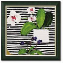 Art Frames ホットハウスオーキッド スーザン ブラウン フラワー アート 花 額付き ポスター インテリアグッズ 取寄品 マシュマロポップ