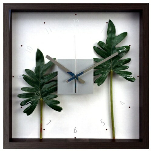 フィロデンドロン クッカバラ CFC-52887 F-style Clock 掛け時計 美工社 ギフト リーフアートインテリア 取寄品 マシュマロポップ