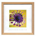 French Photography Violet Green フレンチフォトグラフィー 写真 アート 美工社 ZFP-51885 額付き インテリア 取寄品 マシュマロポップ