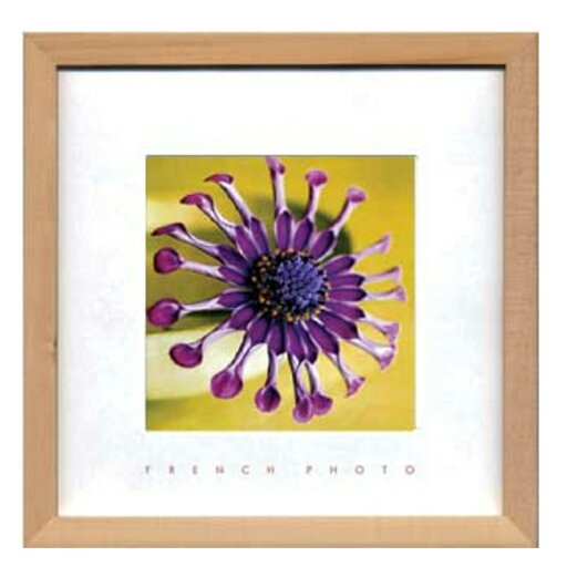 French Photography Violet Green フレンチフォトグラフィー 写真 アート 美工社 ZFP-51885 額付き インテリア 取寄品 マシュマロポップ French Photography Violet Green フレンチフォトグラフィー 写真 アート 美工社 ZFP-51885 額付き インテリア 取寄品 マシュマロポップ