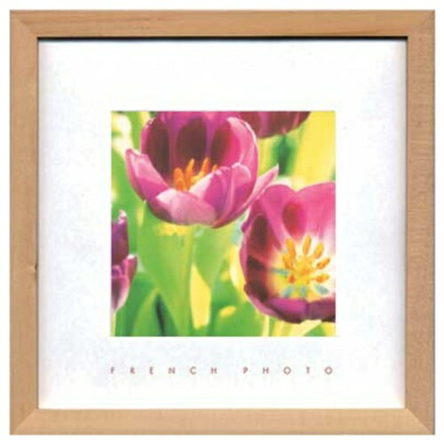 French Photography Tulips եեȥե ̿   ZFP-51895 դ ƥꥢ ...
