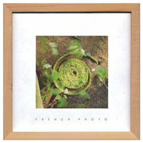 French Photography Green Snake եեȥե ̿   ZFP-51909 դ ...