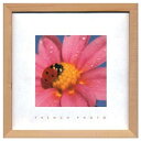 French Photography Lady bird フレンチフォトグラフィー 写真 アート 美工社 ZFP-51910 額付き インテリア 取寄品 マシュマロポップ