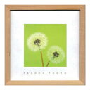 French Photography Dandelions フレンチフォトグラフィー 写真 アート 美工社 ZFP-51913 額付き インテリア 取寄品 マシュマロポップ
