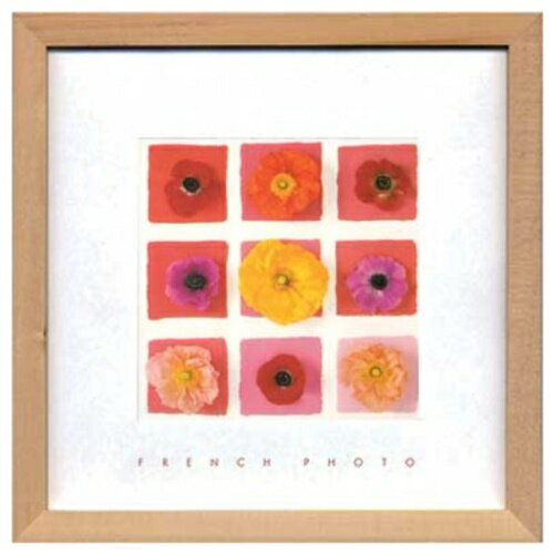 French Photography Nine Flower on nine squares եեȥե ̿  ...