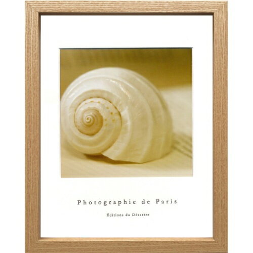 Photographie de Paris Shell t`tHgOtB[ ʐ^ A[g H ZFP-52766 zt CeA i }V}|bv