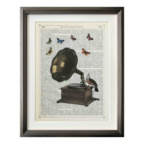 A[gt[ }I }RlM[ Marion McConaghie Gramophone BirdButterflies H IMM-62130 Ǌ| zt CeA i }V}|bv