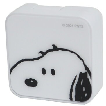 電源タップ スヌーピー USB Type-A USB Type-C ACアダプタ ピーナッツ グルマンディーズ ACプラグ 急速充電器 プレゼント マシュマロポップ