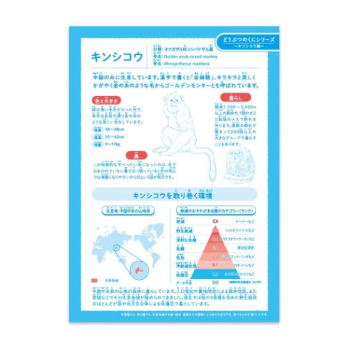 ハーモニー学習 国語ノート B5こくごノート 12行 キンシコウ どうぶつのくに HNシリーズ 新日本カレンダー 新学期準備文具 小学生 3年 4年 メール便可 マシュマロポップ