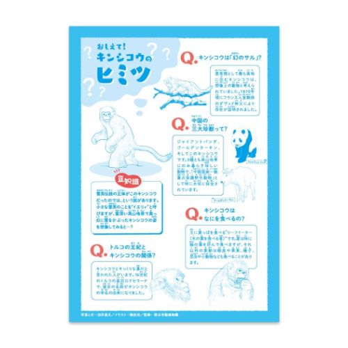 ハーモニー学習 国語ノート B5こくごノート 12行 キンシコウ どうぶつのくに HNシリーズ 新日本カレンダー 新学期準備文具 小学生 3年 4年 メール便可 マシュマロポップ