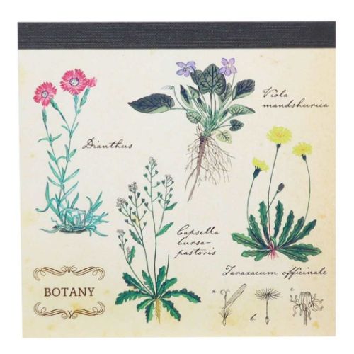 メモ帳 STUDY HOLIC スクエアメモパッド 植物学 Green Flash 新学期準備文具 事務用品 メール便可 マシ..