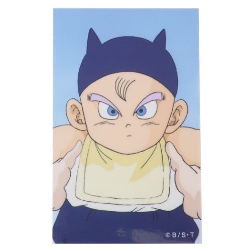 ビッグシール ドラゴンボールZ ダイ