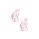 ワッペン ぽちゃっとアニマル シール&アイロン接着ミニワッペン 2枚セット ウサギ 新入学 清原 手芸用品 シール アレンジ 入園 幼稚園 小学生 キッズ 子ども メール便可 マシュマロポップ(3)