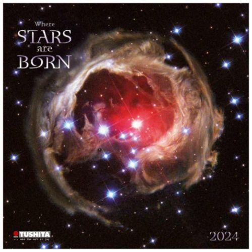 2024 Calendar TUSHITA 壁掛けカレンダー2024年 Where Stars are Born 写真 宇宙 インテリア 令和6年暦 マシュマロポップの商品画像