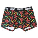 男性用下着 デッドプール ボクサーブリーフ ロゴ MARVEL スモールプラネット ギフト雑貨 メンズインナー メール便可