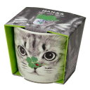 栽培キット ハナ&アニマルズ ネコ 四つ葉のクローバー ねこ 聖新陶芸 栽培セット 植物 屋内 グリーン プレゼント マシュマロポップ
